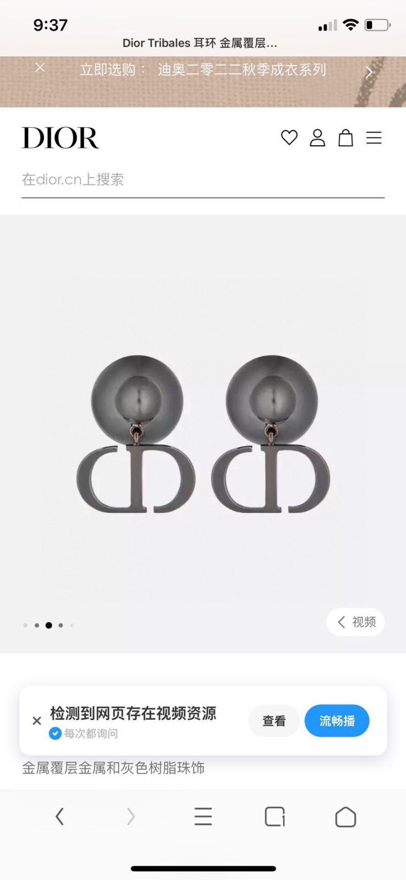 Christian Dior Earrings